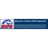 Blossom Valley Pony Baseball S