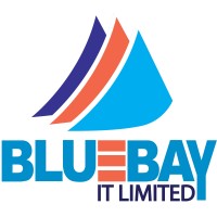 Bluebay IT Limited logo - Similar company to Bengal Software