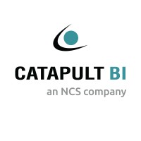 Catapult BI - Part of NCS Group Australia logo - Similar company to Talk To Maple