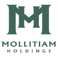 Mollitiam Holdings, LLC logo - Similar company to Phillips Environmental