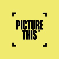 Picture This logo - Similar company to Aiimi