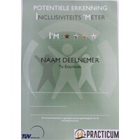 Stichtingpracticum