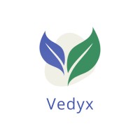 Vedyx AI logo - Similar company to Ns Web Labs