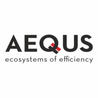 Aequs Limited logo - Similar company to Sfs Group India Private Limited