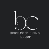 Brice Consulting Group logo - Similar company to Alliance Project Advisors