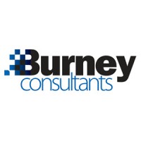 Burney Consultants LLC logo - Similar company to Veridis Management Llc