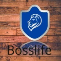 Bosslife International logo - Similar company to Feed The Mass