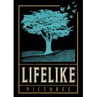 Lifelike Pictures logo - Similar company to Imaginenow