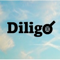 Diligo Intelligence logo - Similar company to Akexis
