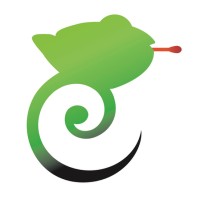 Chameleon Energy logo - Similar company to Rey Energy