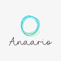 Anaario logo - Similar company to Carrotbeans