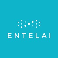 Entelai logo - Similar company to Pulsa