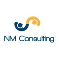 NM CONSULTING logo - Similar company to Puzzle Capital Group
