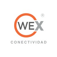 WEX conectividad logo - Similar company to Seguridad Total