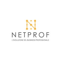 Associazione NetProf Rete tra Professionisti logo - Similar company to Leonardo Rete Di Imprese