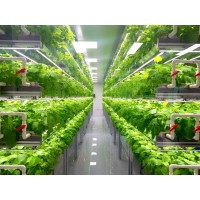 Farming the future Namibia logo - Similar company to Farmers Future