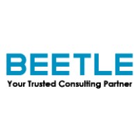 Beetle International logo - Similar company to Collab Consulting Services B.V.