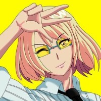 Mundo dos Animes logo - Similar company to Wdn - World Dubbing News