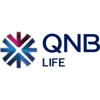 QNB Life Insurance logo - Similar company to Bluebug