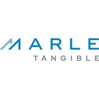 Marle Tangible logo - Similar company to Marle Group
