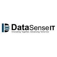 DataSense IT logo - Similar company to Querybridge