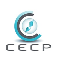 Conseil de l'Enseignement des Communes et des Provinces logo - Similar company to Cstc