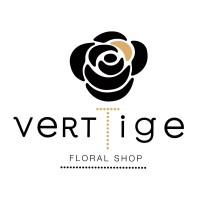 Verttige logo - Similar company to Amine Group