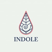 Indole - Graphics Studio logo - Similar company to Bolano Criações