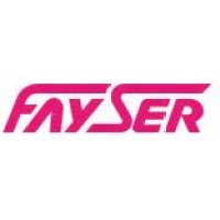 FAYSER SRL logo - Similar company to Lv Servicios - Plataformas Elevadoras