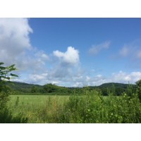 O & W Hurley Rail Trail