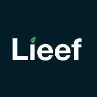 Lieef logo - Similar company to Binge! Network Solutions
