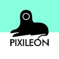 Pixileon, Motion Design & Animation studio Brussels logo - Similar company to Nectart / Visual Production Agency