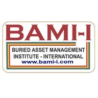 BAMI-I (Buried Asset Management Institute-International) logo - Similar company to Quam Trenchless Technologies