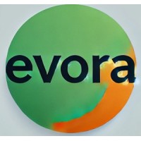 Evora Industrial logo - Similar company to Linkwell