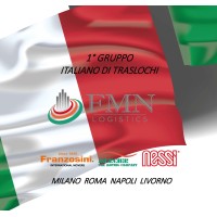 FMN LOGISTICS GROUP logo - Similar company to Franzosini Global Service
