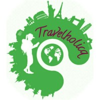 Travelholicq logo - Similar company to Oneboard