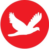 Tech Observer Magazine logo - Similar company to Tech To Review