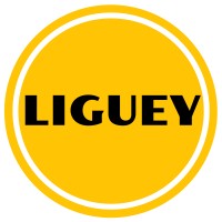 LIGUEY logo - Similar company to Ande Woute Ligueye