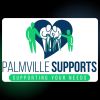 Palmville Supports logo - Similar company to Oncoadvisor Us