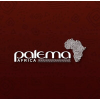 PALEMA AFRICA logo - Similar company to Ferroalloynet