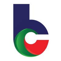 BESTCAST CAPITAL logo - Similar company to The Bespoke Group