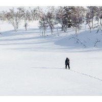 Nordic 24/7 Services Oy logo - Similar company to Esa Polymath Solutions