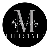 Molemane's Blog` logo - Similar company to A Builders Expedition