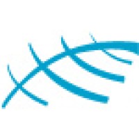 Softsys Global Pvt. Ltd.