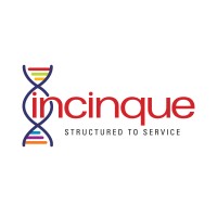 Incinque Business Solutions Pvt. Ltd. logo - Similar company to Beyond Codes Inc.