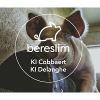 KI Cobbaert - Bereslim logo - Similar company to Klasse
