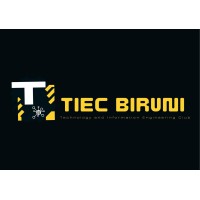 TIEC BİRUNİ logo - Similar company to Dznsoft