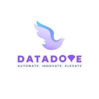 DATADOVE logo - Similar company to Data Dove