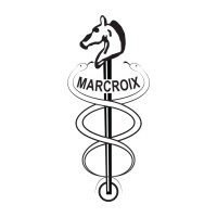 Rotterdamsche Studenten Rijvereeniging 'Marcroix' logo - Similar company to Certilingua