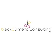blackCurrant Consulting Ltd logo - Similar company to Blackcurrant